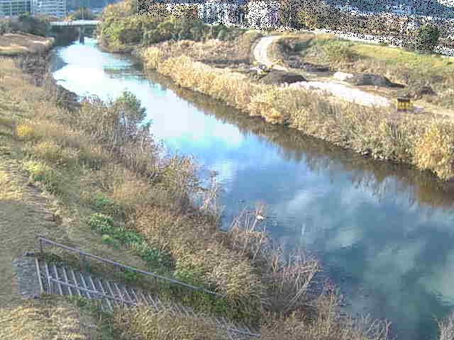 玉川橋付近のカメラ画像