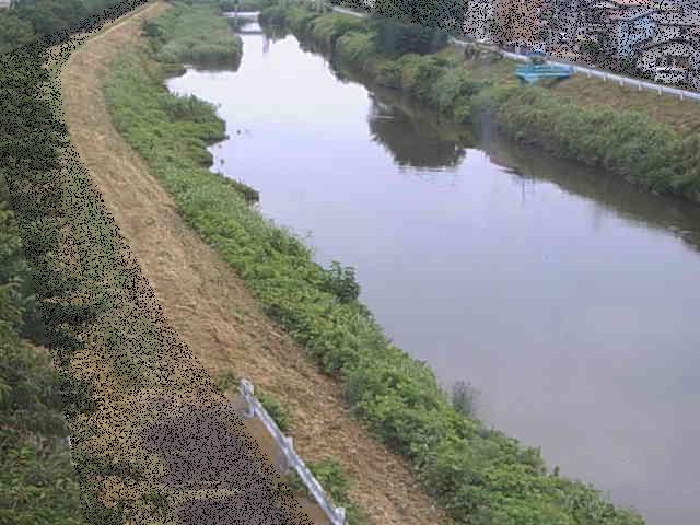 渋田川 新大縄橋付近のカメラ画像
