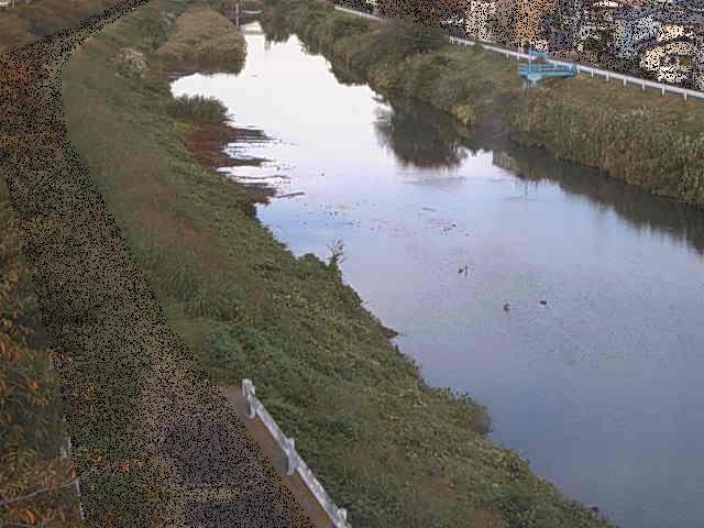 新大縄橋付近のカメラ画像