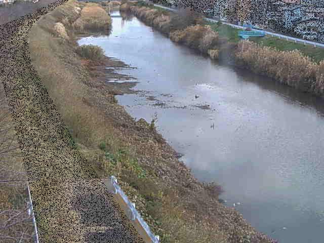 新大縄橋付近のカメラ画像