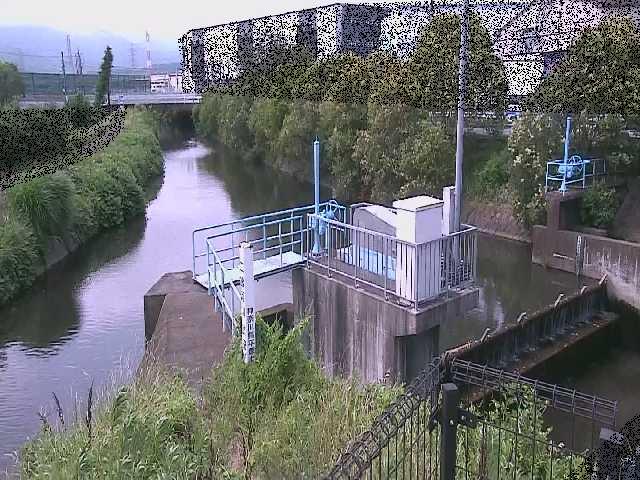 渋田新橋付近のカメラ画像