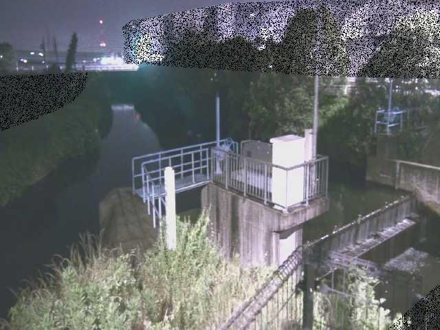 渋田川分水路 渋田新橋付近のカメラ画像