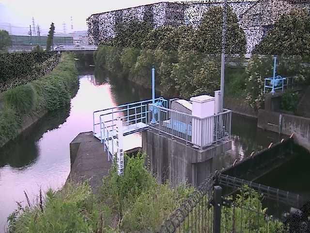 渋田川分水路 渋田新橋付近のカメラ画像