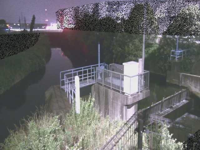 渋田川分水路 渋田新橋付近のカメラ画像