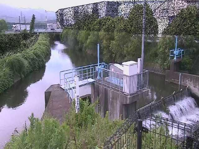 渋田川分水路 渋田新橋付近のカメラ画像