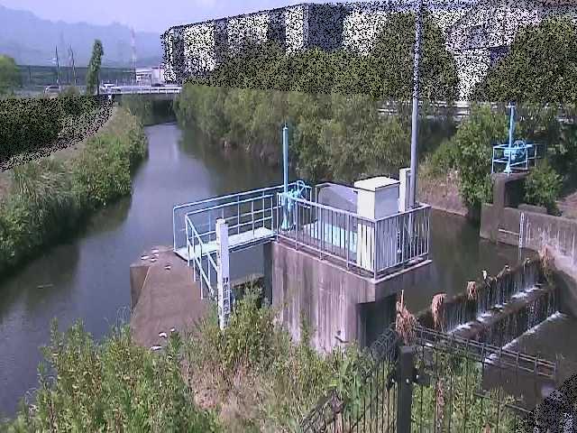 渋田川分水路 渋田新橋付近のカメラ画像