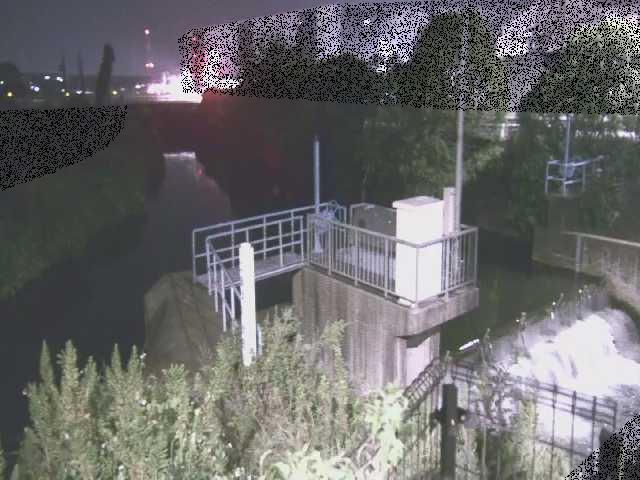 渋田川分水路 渋田新橋付近のカメラ画像