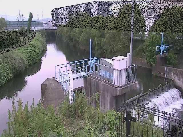渋田新橋付近のカメラ画像