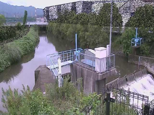 渋田新橋付近のカメラ画像
