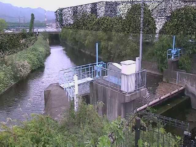 渋田新橋付近のカメラ画像