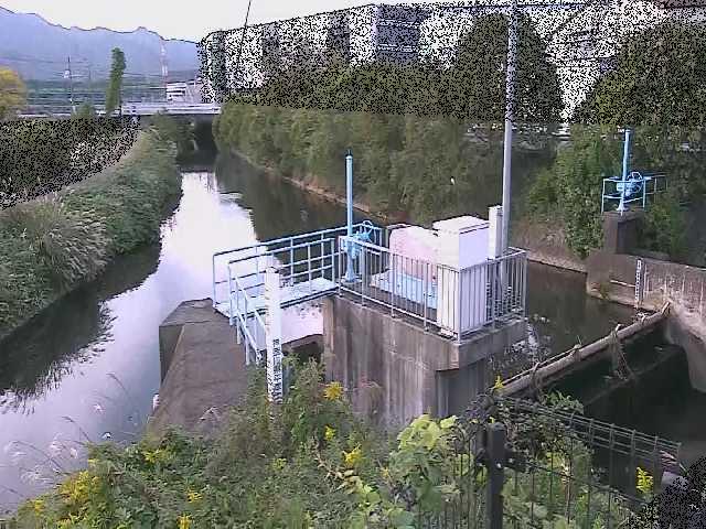 渋田新橋付近のカメラ画像