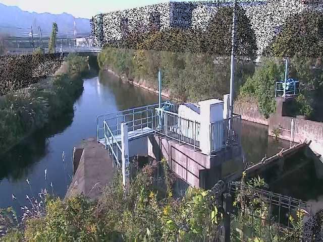 渋田新橋付近のカメラ画像