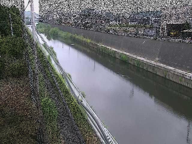 柏尾川 神鋼橋付近のカメラ画像