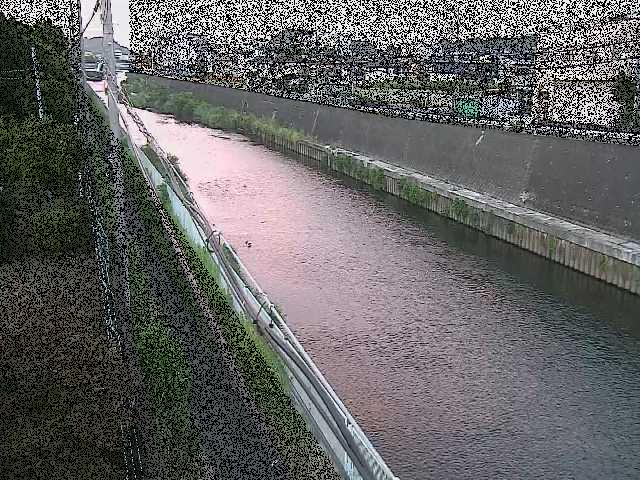 柏尾川 神鋼橋付近のカメラ画像