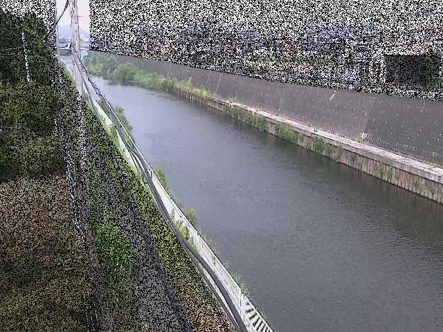 柏尾川 神鋼橋付近のカメラ画像