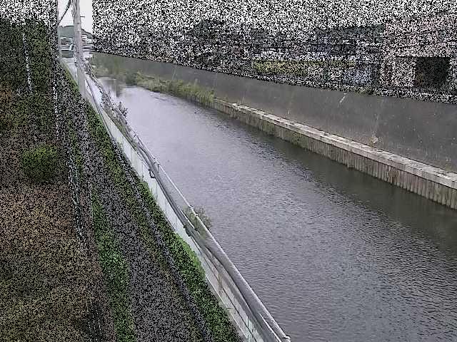 柏尾川 神鋼橋付近のカメラ画像