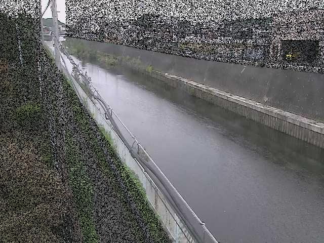 柏尾川 神鋼橋付近のカメラ画像