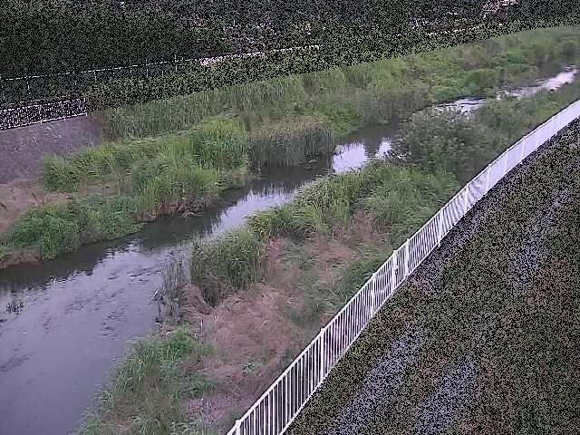 小出川 一ツ橋付近のカメラ画像