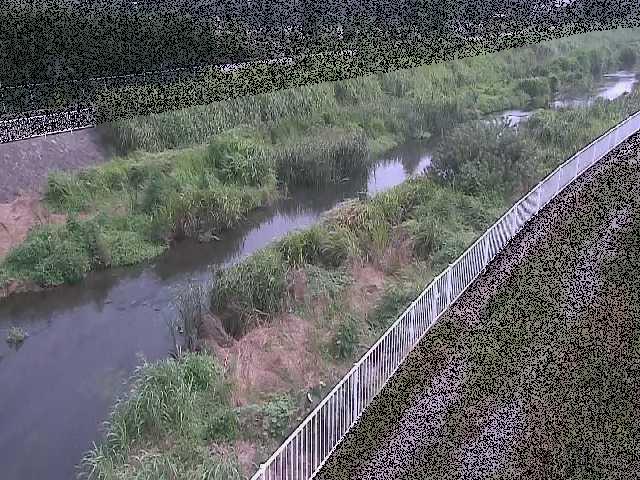 小出川 一ツ橋付近のカメラ画像