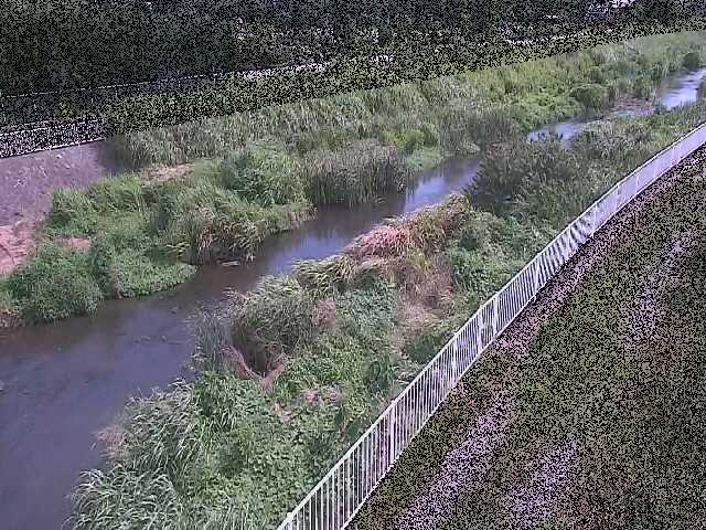 小出川 一ツ橋付近のカメラ画像