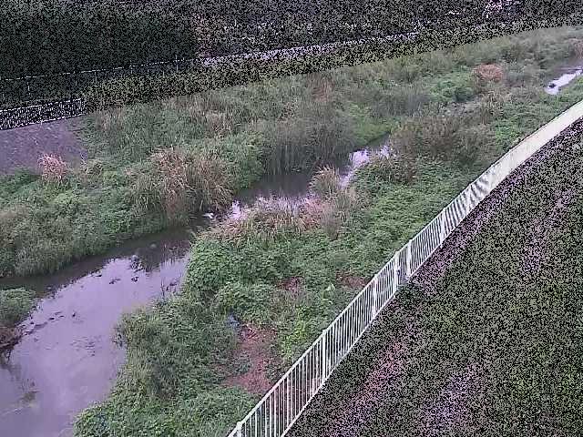 一ツ橋付近のカメラ画像