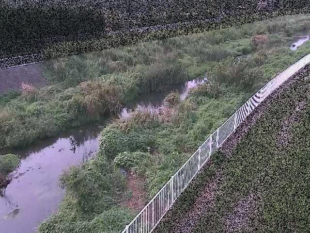 小出川 一ツ橋付近のカメラ画像