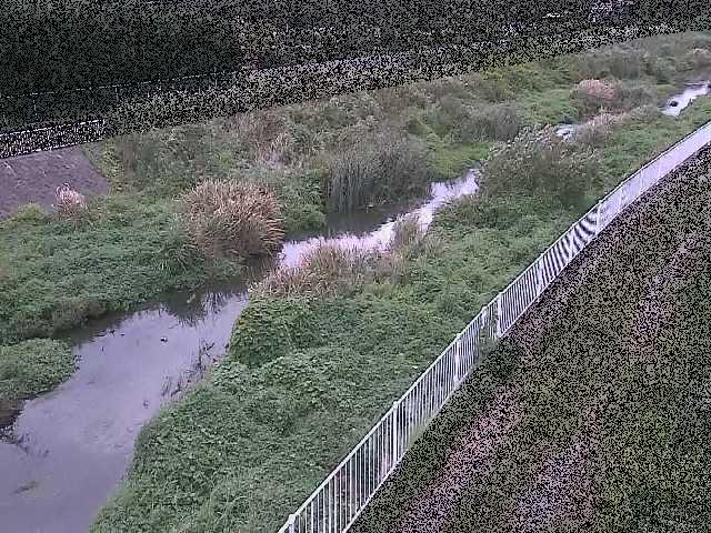 小出川 一ツ橋付近のカメラ画像