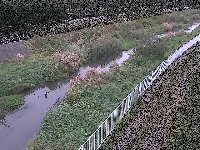 小出川 一ツ橋付近のカメラ画像