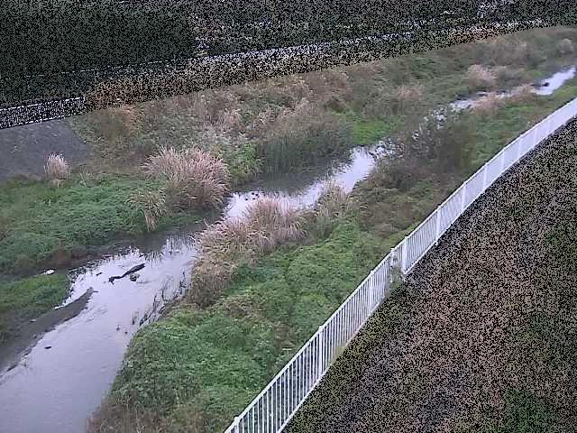 一ツ橋付近のカメラ画像