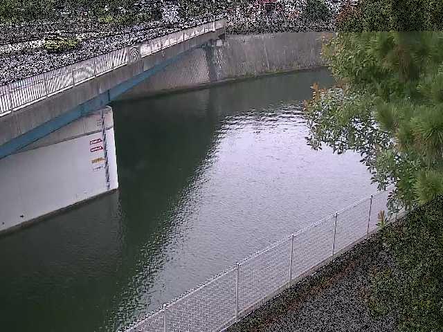 境川 境川橋付近のカメラ画像