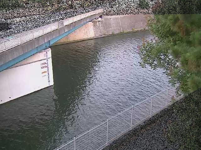 境川 境川橋付近のカメラ画像