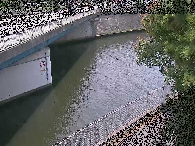 境川橋付近のカメラ画像