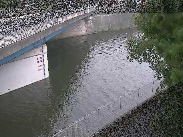 境川 境川橋付近のカメラ画像
