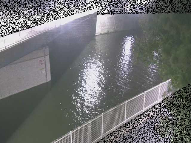 境川 境川橋付近のカメラ画像