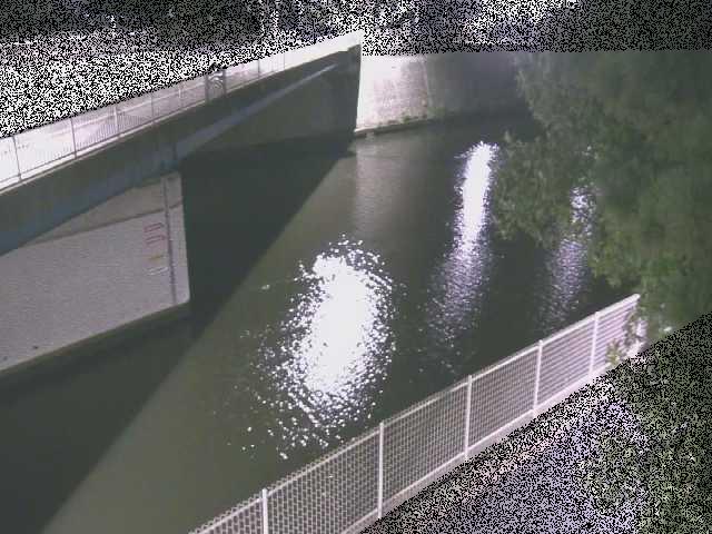 境川 境川橋付近のカメラ画像