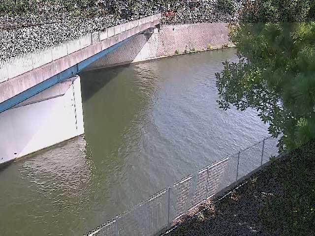 境川 境川橋付近のカメラ画像
