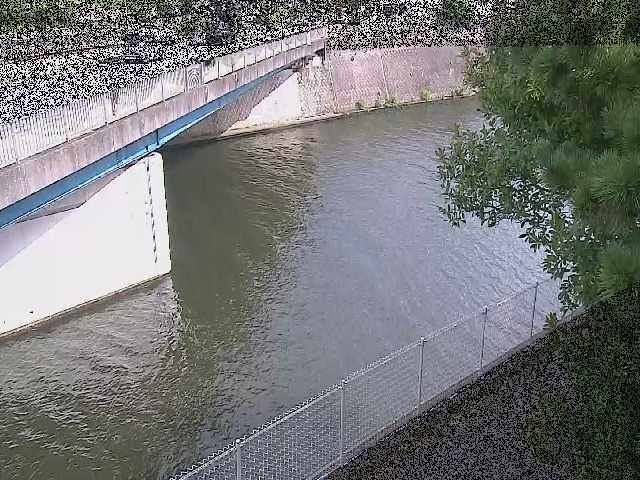 境川橋付近のカメラ画像