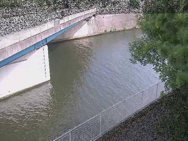 境川橋付近のカメラ画像
