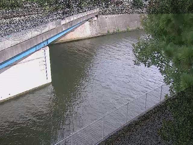 境川橋付近のカメラ画像