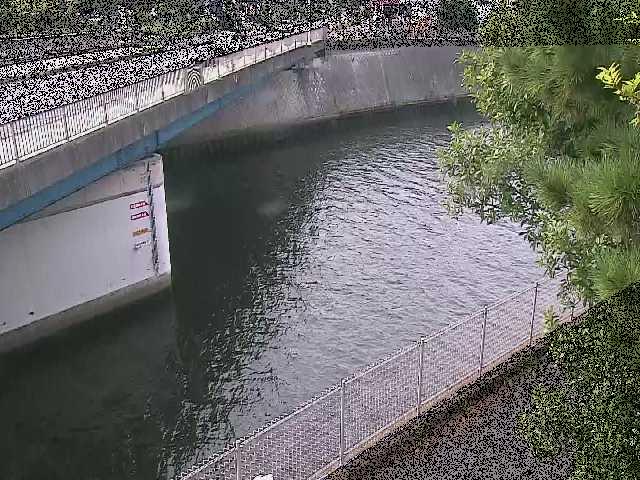 境川 境川橋付近のカメラ画像