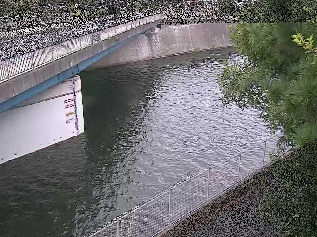 境川橋付近のカメラ画像