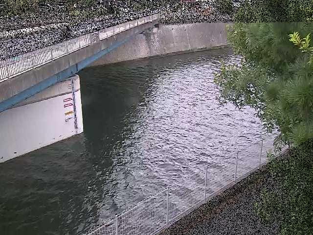 境川 境川橋付近のカメラ画像