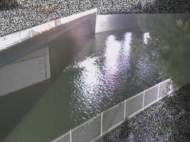境川橋付近のカメラ画像