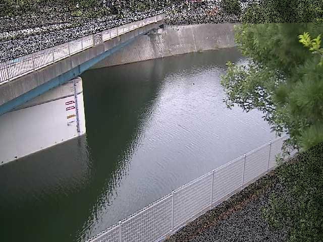 境川橋付近のカメラ画像