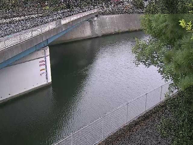 境川 境川橋付近のカメラ画像