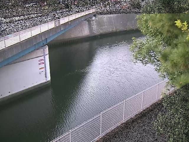 境川橋付近のカメラ画像