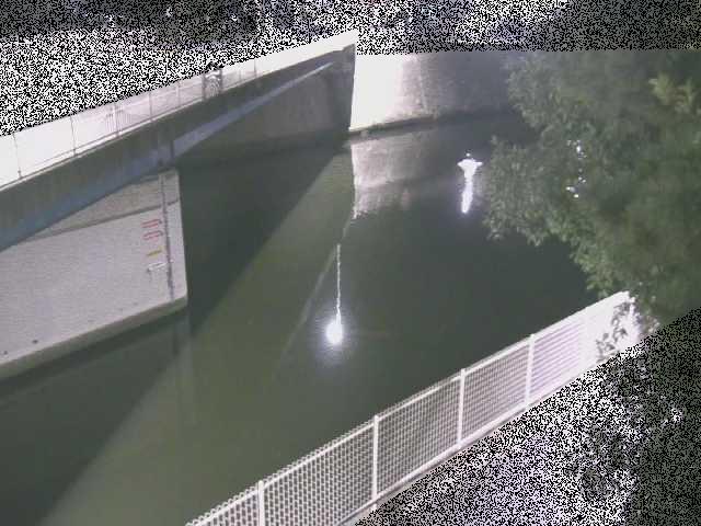 境川 境川橋付近のカメラ画像