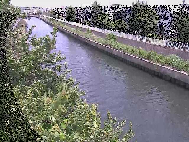 大平橋付近のカメラ画像