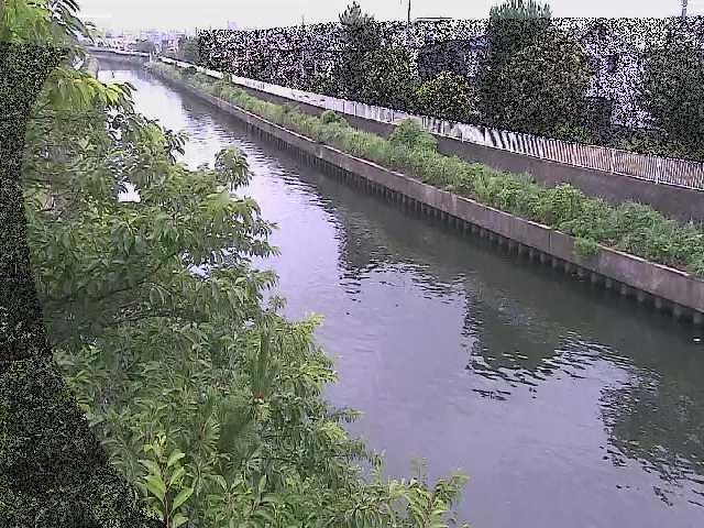 引地川 大平橋付近のカメラ画像