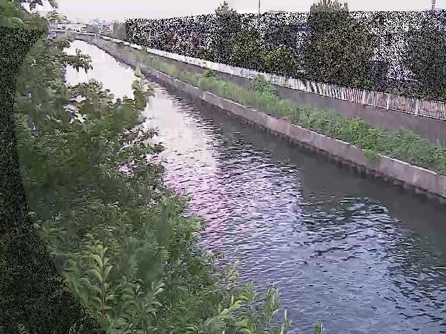 引地川 大平橋付近のカメラ画像